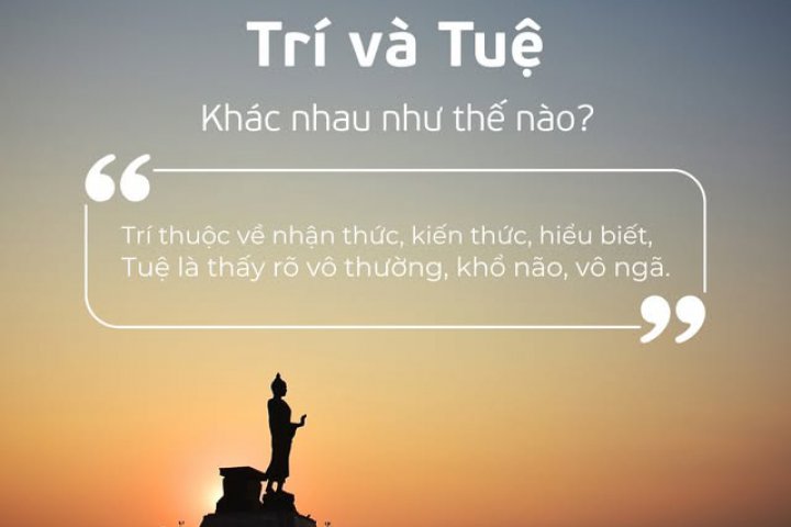 TRÍ VÀ TUỆ — KHÁC NHAU NHƯ THẾ NÀO?